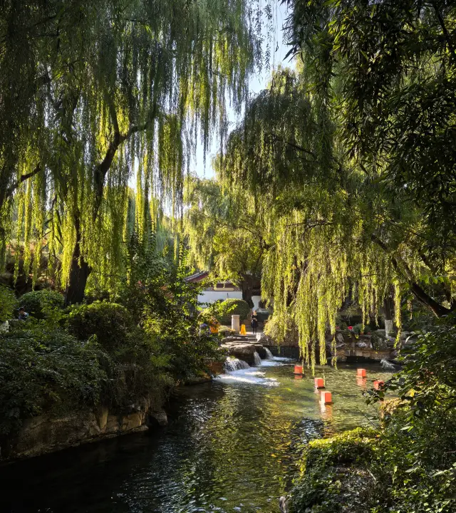 บ่อโบตั๋นในฤดูใบไม้ร่วง สวยงามจนเวลาต้องหยุดชะงัก