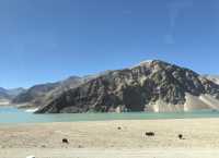 白沙湖真係點影都咁靚