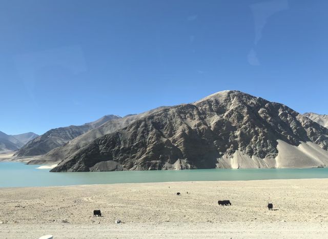 白沙湖真係點影都咁靚 白沙湖真係點影都咁靚