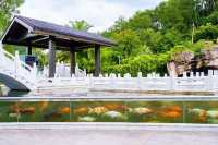 入冬儀式感！千島湖呢間酒店，湯泉+湖景靚到犯規