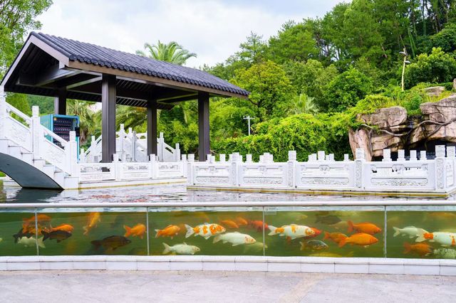 入冬儀式感！千島湖呢間酒店，湯泉+湖景靚到犯規