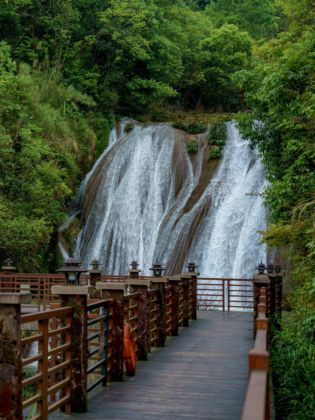 廣東藏著個“小峇里島”｜泡進秋天的溫柔裡