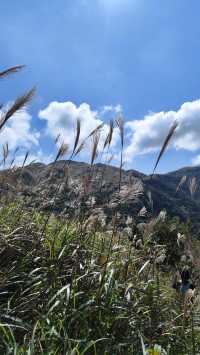 廣東版武功山|惠州大南山徒步攻略