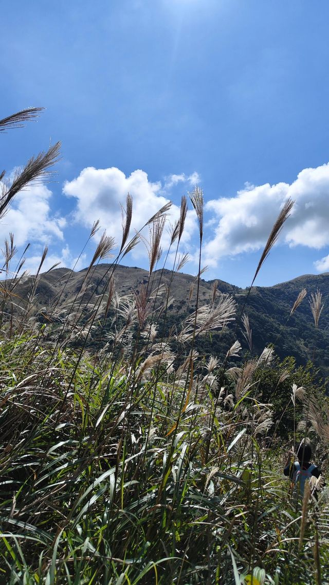 廣東版武功山|惠州大南山徒步攻略