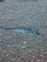 沖繩恩納村萬座毛：湛藍大海上的一頭大象