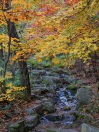 濟南秋日野趣指南