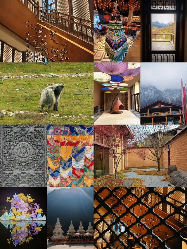 九寨溝的秋與冬丨調色盤打翻在人間的童話世界