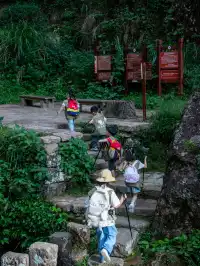 武夷山｜巖骨花香漫遊道｜