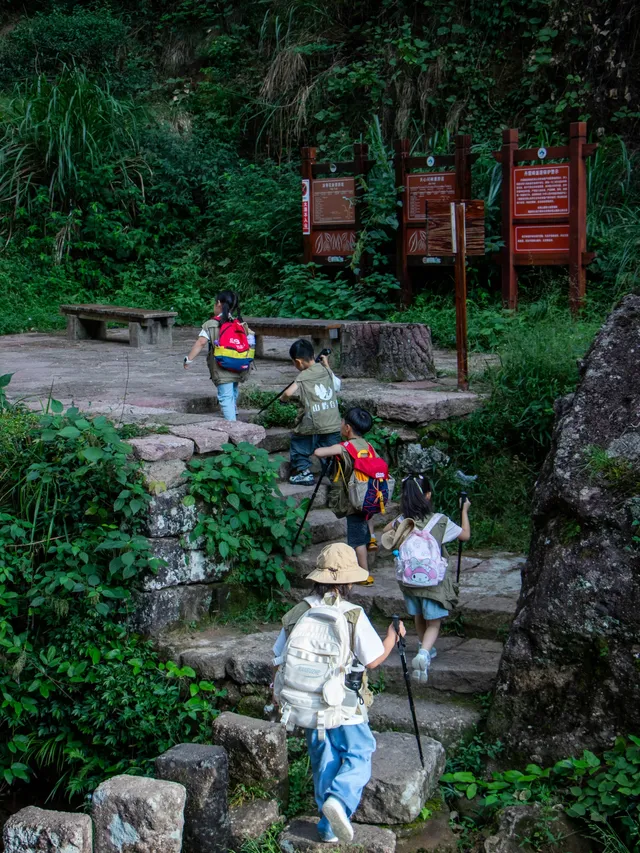武夷山｜巖骨花香漫遊道｜