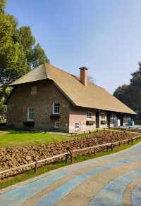 南京綠博園 拍照打卡休閒觀景溜娃走起來