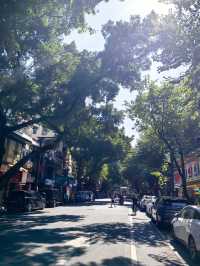 廣東春節旅遊必備