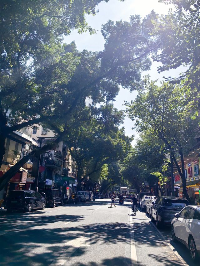 廣東春節旅遊必備