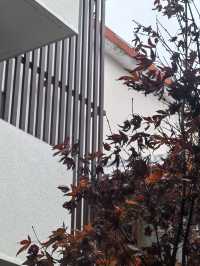 麗江不踩雷民宿！閱山觀景住著太上癮