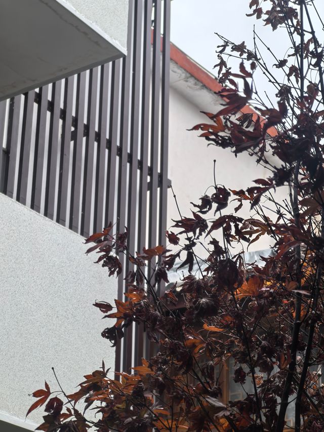 麗江不踩雷民宿！閱山觀景住著太上癮