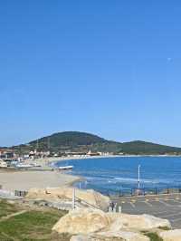 青島最美山海公路!618路環海攻略來啦