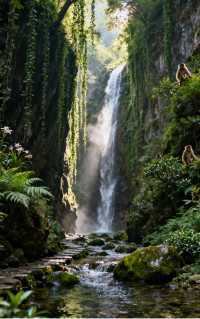 徒步金絲峽，遇見獼猴