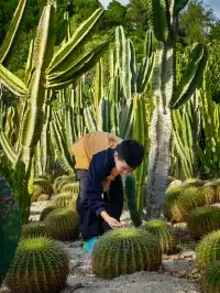 廈門植物園鐘鼓索道懶人版