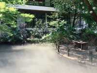 長大以後，終於換我們帶父母看世界了