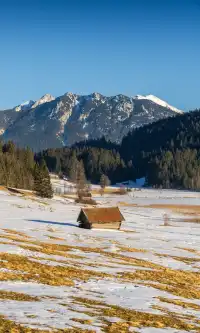 11.19雪後的慕尼黑南郊瘋狂了!!!