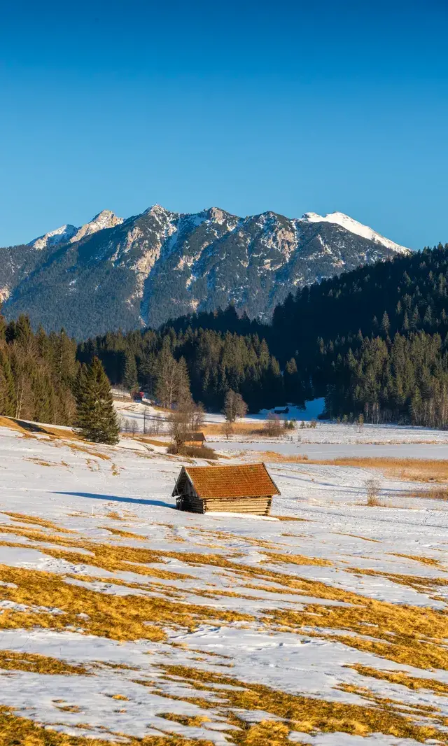 11.19雪後的慕尼黑南郊瘋狂了!!! 11.19雪後的慕尼黑南郊瘋狂了!!!