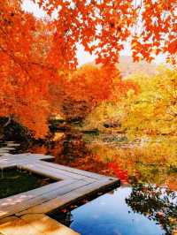 江浙賞秋地圖｜最美私藏地