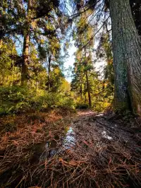 登頂東崗山,邂逅雲海、風車與滿目青翠。