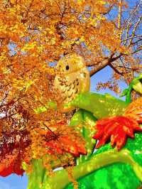 上海秋日頂流|世紀公園銀杏大道美到窒息!