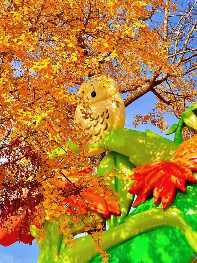 上海秋日頂流|世紀公園銀杏大道美到窒息! 上海秋日頂流|世紀公園銀杏大道美到窒息!
