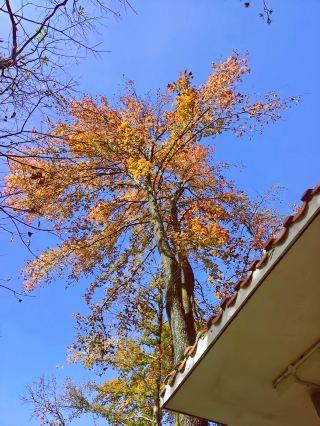 Wow, what a place, so beautiful!