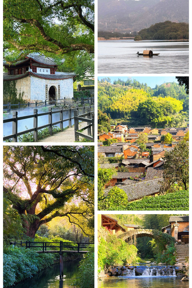 秋色限定江浙滬8個絕美古村落，避開人潮賞秋攻略