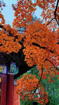 冬天北京4日遊攻略懶人必看