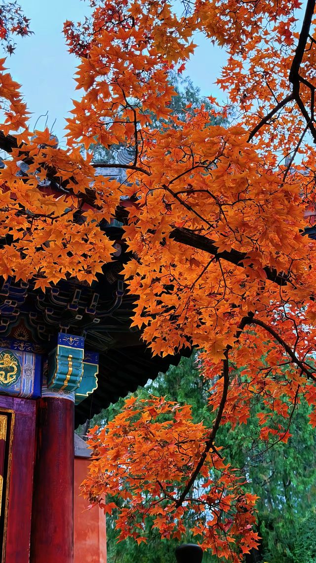 冬天北京4日遊攻略懶人必看