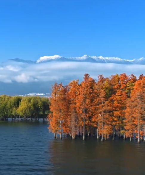 蒼山雪後如人間仙境