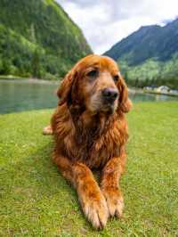 康定月亮湖遛狗人新玩法懶人露營更適合