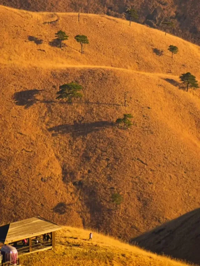 冬季武功山到底多美 不去看看嗎 冬季武功山到底多美 不去看看嗎