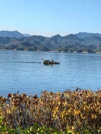 千島湖不登島不進景區直接酒店躺平…