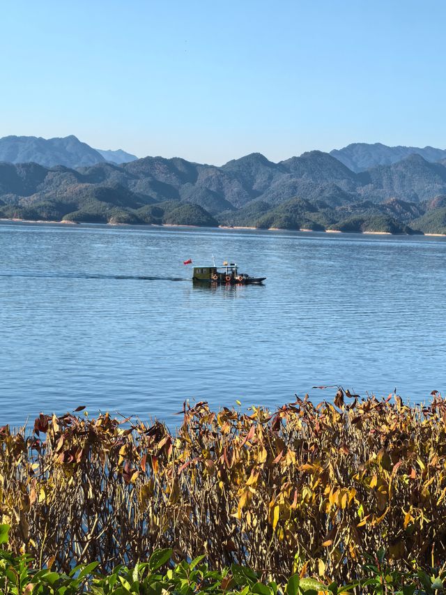 千島湖不登島不進景區直接酒店躺平…