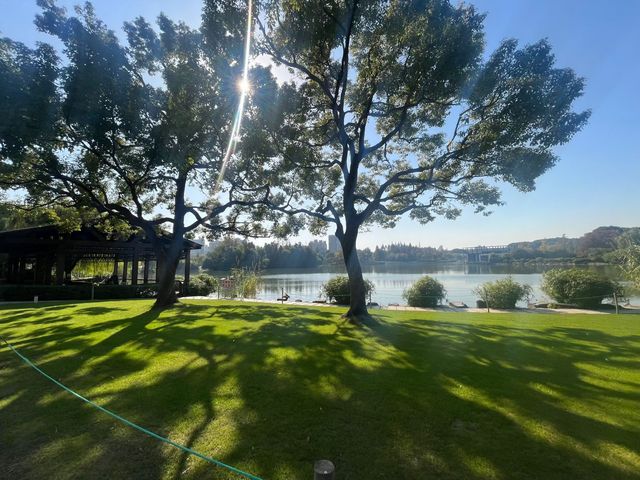 魔都秋日秘境大寧公園的絕美森林太出片了! 魔都秋日秘境大寧公園的絕美森林太出片了!
