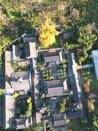 陝西！西安千年古寺銀杏絕美