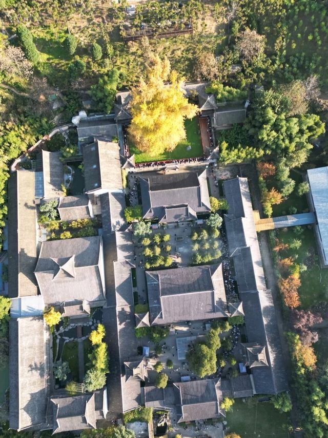 陝西！西安千年古寺銀杏絕美