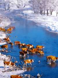 不是北歐是只有0.1%去過的冷門邊境小城