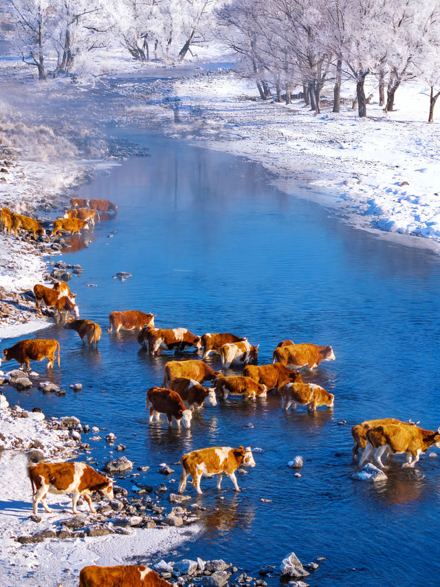 不是北歐是只有0.1%去過的冷門邊境小城 不是北歐是只有0.1%去過的冷門邊境小城