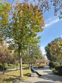 冬日曬太陽散步好去處