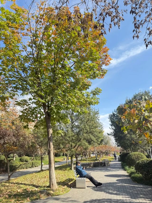 冬日曬太陽散步好去處