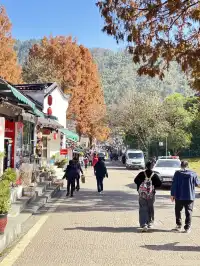 一個人旅行第一站 - 九華山