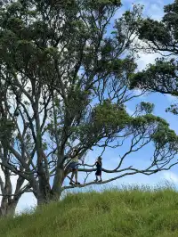 陰天 在奧克蘭city的周邊