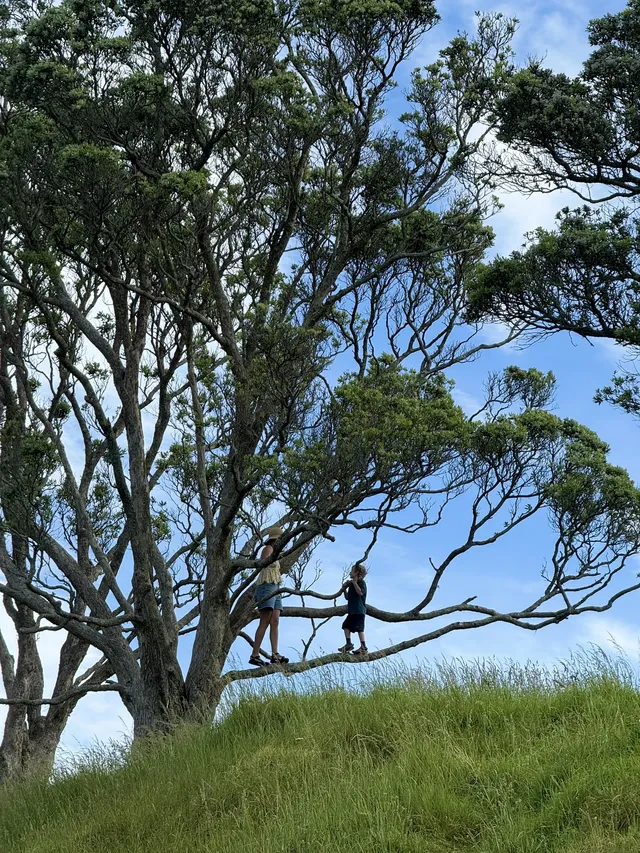 陰天 在奧克蘭city的周邊 陰天 在奧克蘭city的周邊