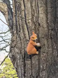 南五臺山保姆級攻略(11.23實拍)