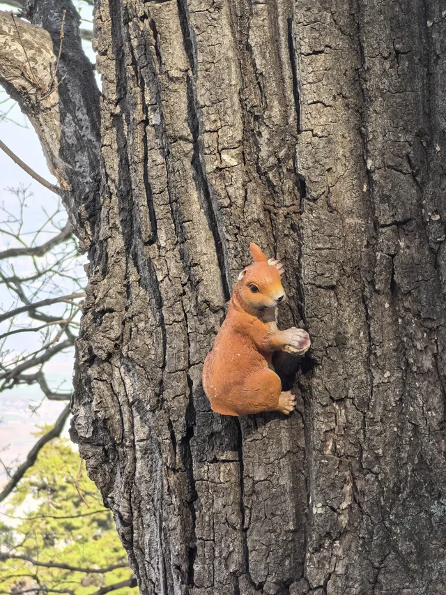 南五臺山保姆級攻略(11.23實拍) 南五臺山保姆級攻略(11.23實拍)