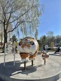 哈爾濱東北虎林園半日遊！！（內含攻略）